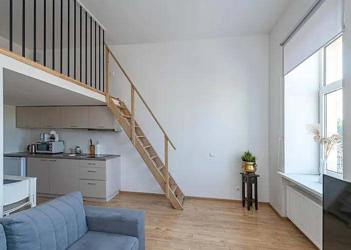 New Town Loft With Air Conditioning By Polo * קובנה