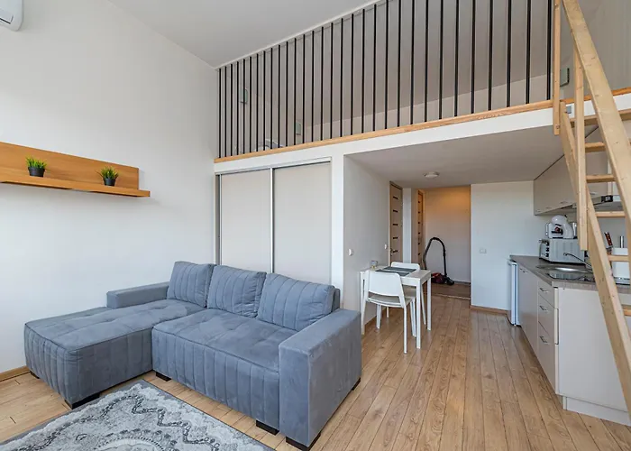 New Town Loft With Air Conditioning By Polo קובנה